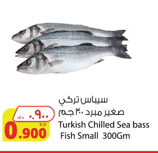 available at Agricultural Food Products Co. in Kuwait - Kuwait City