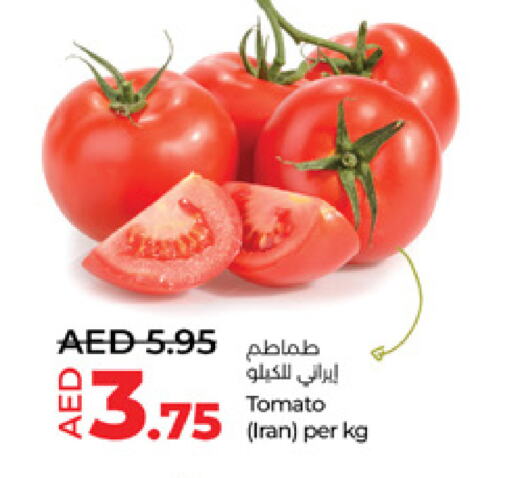 Tomato from Iran available at Lulu Hypermarket in UAE - Abu Dhabi