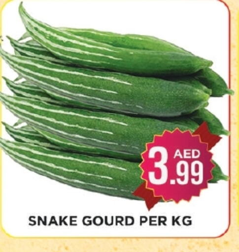 Gourd available at Ainas Al madina hypermarket in UAE - Sharjah / Ajman