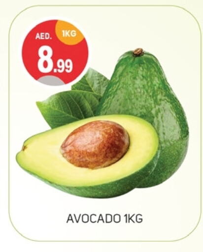 Avacado available at TALAL MARKET in UAE - Dubai