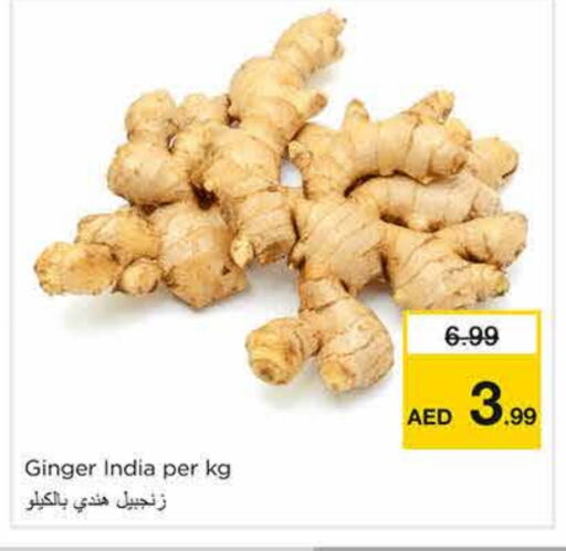 زنجبيل from India available at نستو هايبرماركت in الإمارات العربية المتحدة , الامارات - الشارقة / عجمان