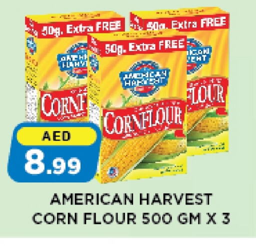 AMERICAN HARVEST Corn Flour available at Azhar Al Madina Hypermarket in UAE - Abu Dhabi