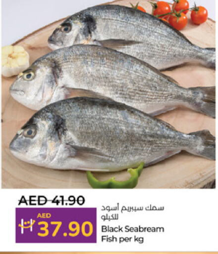 available at Lulu Hypermarket in UAE - Abu Dhabi