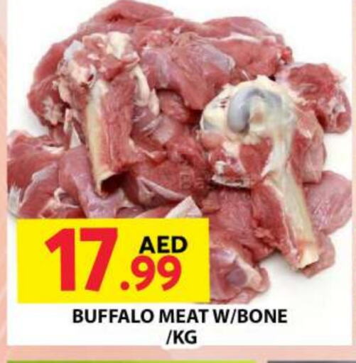 Buffalo available at Grand Hyper Market in UAE - Dubai