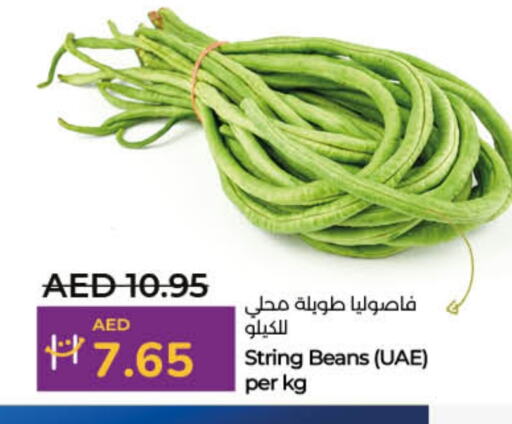 available at لولو هايبرماركت in الإمارات العربية المتحدة , الامارات - دبي