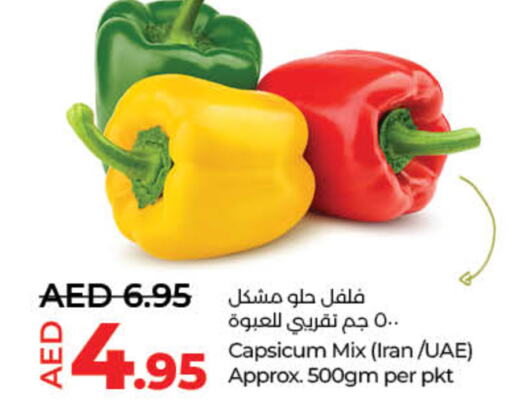 Chilli / Capsicum from Iran available at Lulu Hypermarket in UAE - Sharjah / Ajman