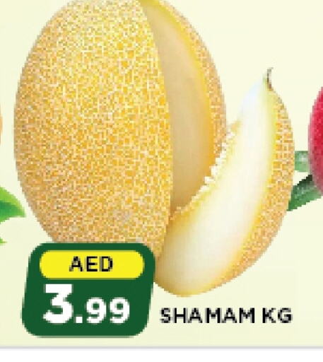 available at أزهر المدينة هايبرماركت in الإمارات العربية المتحدة , الامارات - أبو ظبي