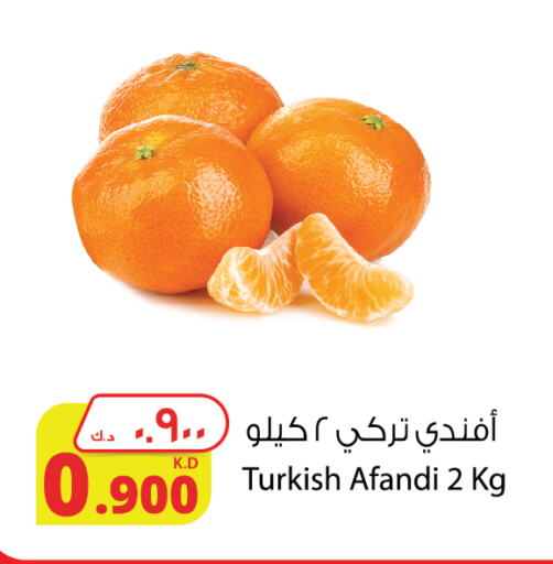 Orange from Turkey available at Agricultural Food Products Co. in Kuwait - Jahra Governorate