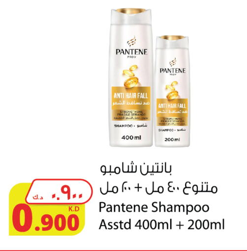 PANTENE Shampoo / Conditioner available at Agricultural Food Products Co. in Kuwait - Kuwait City