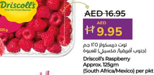 Berries from South Africa Mexico available at Lulu Hypermarket in UAE - Umm al Quwain