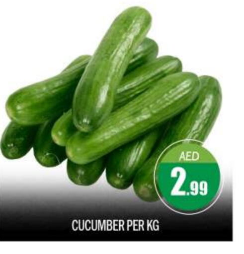 Cucumber available at بيج مارت in الإمارات العربية المتحدة , الامارات - أبو ظبي