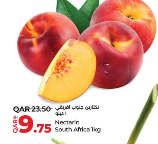 from South Africa available at لولو هايبرماركت in قطر - الضعاين