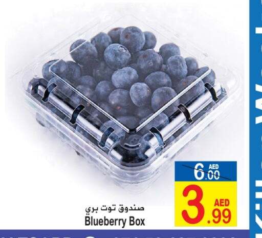 Blueberry BlueBerry available at Sun and Sand Hypermarket in UAE - Ras al Khaimah