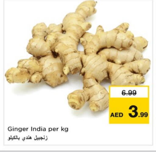 زنجبيل from India available at نستو هايبرماركت in الإمارات العربية المتحدة , الامارات - الشارقة / عجمان