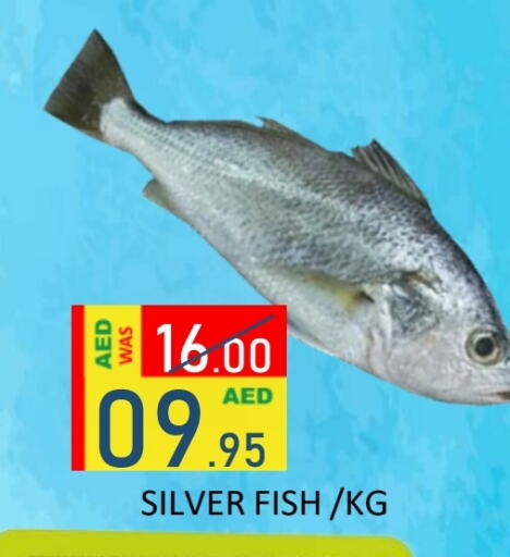 available at ROYAL GULF HYPERMARKET LLC in UAE - Abu Dhabi