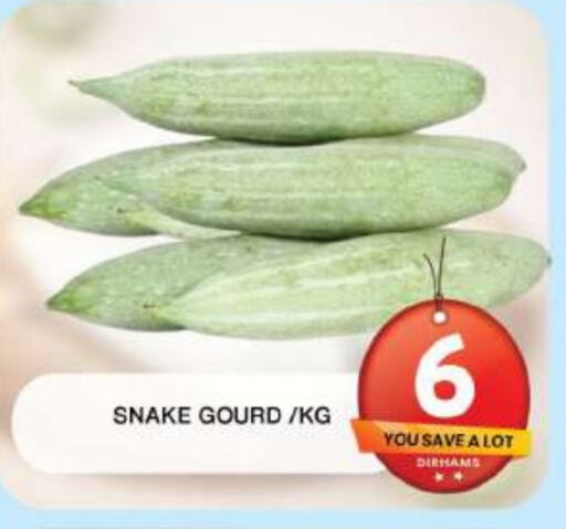 Gourd available at Grand Hyper Market in UAE - Dubai