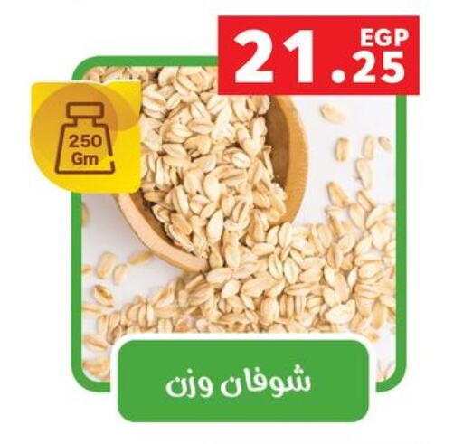 Oats available at Panda  in Egypt - Cairo