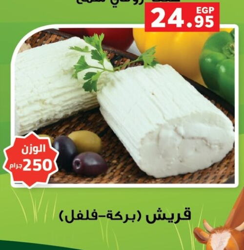 available at بنده in Egypt - القاهرة