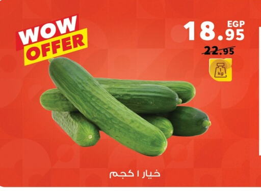 available at Panda  in Egypt - Cairo