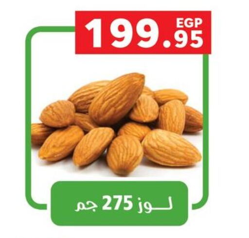 available at بنده in Egypt - القاهرة