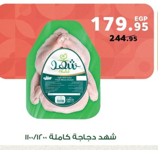 available at بنده in Egypt - القاهرة