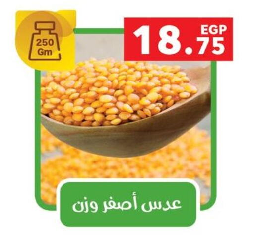 available at بنده in Egypt - القاهرة