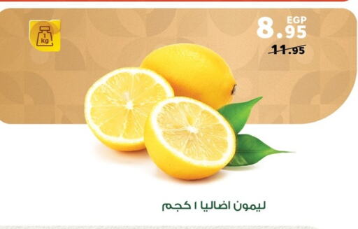 LEMON available at Panda  in Egypt - Cairo