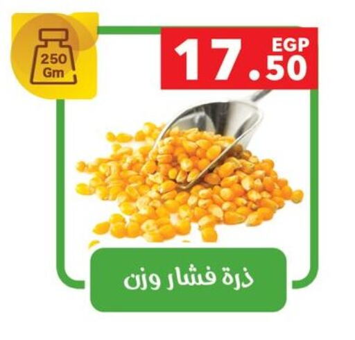 available at بنده in Egypt - القاهرة