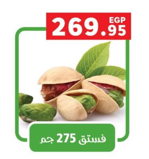 available at بنده in Egypt - القاهرة