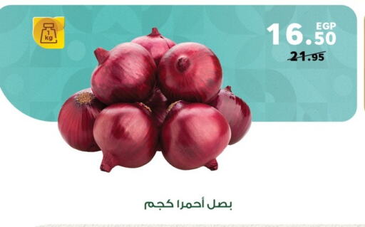 Onion available at Panda  in Egypt - Cairo