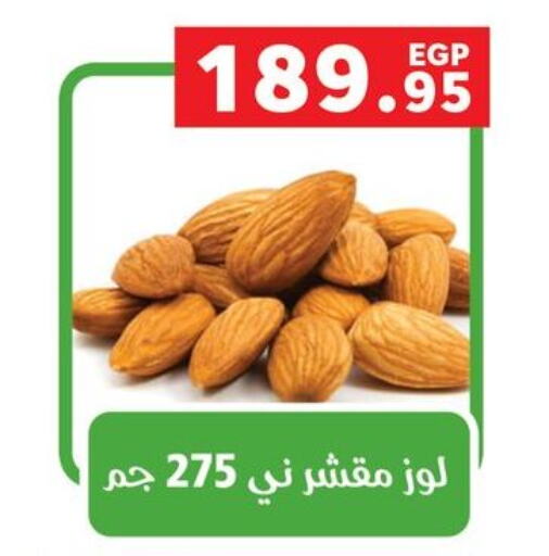 available at بنده in Egypt - القاهرة