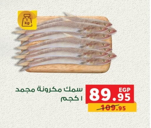 available at بنده in Egypt - القاهرة