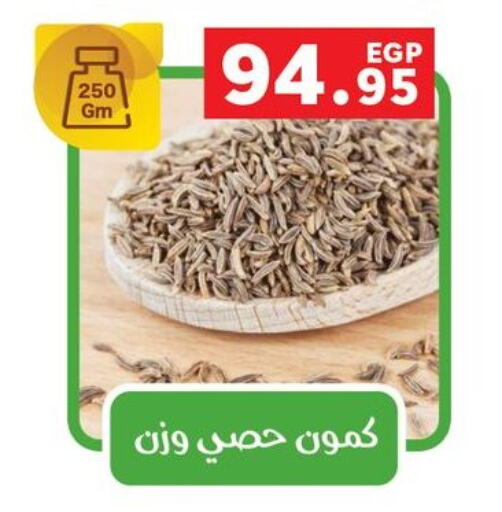 available at بنده in Egypt - القاهرة