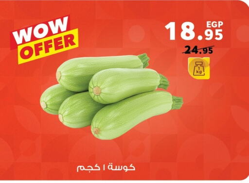 Zucchini available at Panda  in Egypt - Cairo