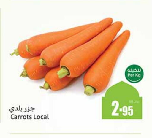 Carrot available at Othaim Markets in KSA, Saudi Arabia, Saudi - Mecca