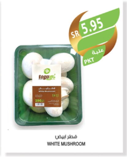 Mushroom available at Farm  in KSA, Saudi Arabia, Saudi - Jeddah