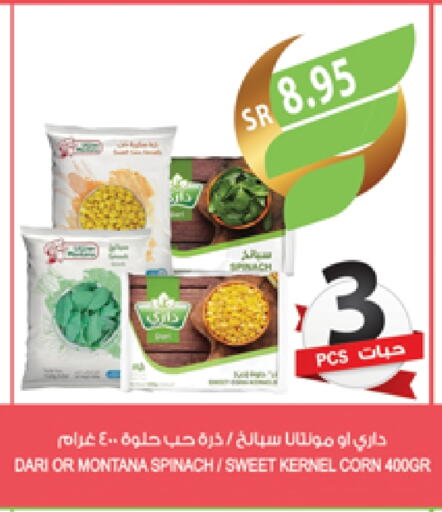 Spinach available at المزرعة in مملكة العربية السعودية, السعودية, سعودية - تبوك