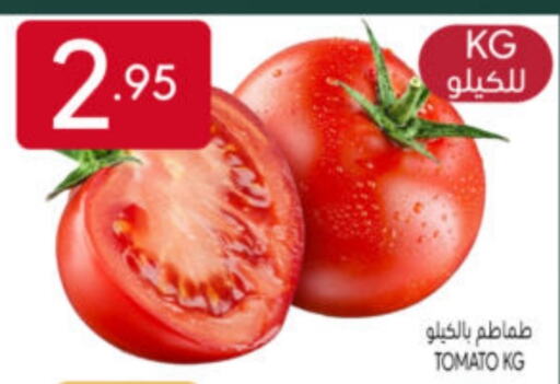 Tomato available at Manuel Market in KSA, Saudi Arabia, Saudi - Riyadh