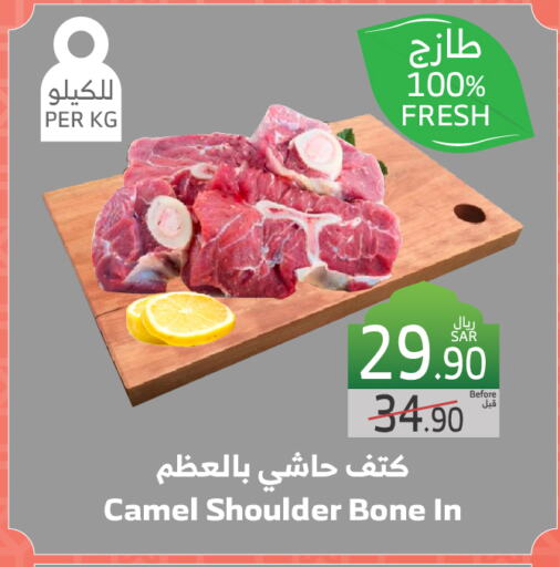 لحم حاشي available at الراية in مملكة العربية السعودية, السعودية, سعودية - جدة