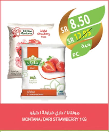 Strawberry available at المزرعة in مملكة العربية السعودية, السعودية, سعودية - تبوك