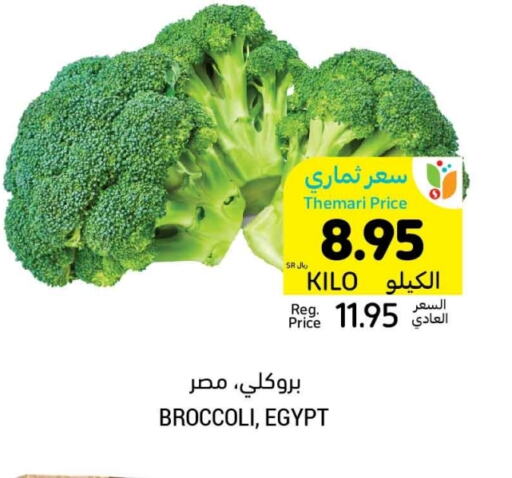 Broccoli from Egypt available at Tamimi Market in KSA, Saudi Arabia, Saudi - Unayzah