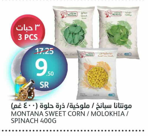 Spinach available at مركز الجزيرة للتسوق in مملكة العربية السعودية, السعودية, سعودية - الرياض