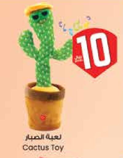 available at City Flower in KSA, Saudi Arabia, Saudi - Hail