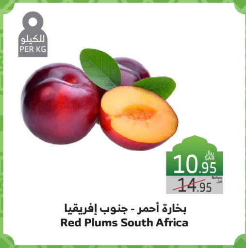 برقوق from South Africa available at الراية in مملكة العربية السعودية, السعودية, سعودية - ينبع