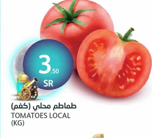 Tomato available at AlJazera Shopping Center in KSA, Saudi Arabia, Saudi - Riyadh