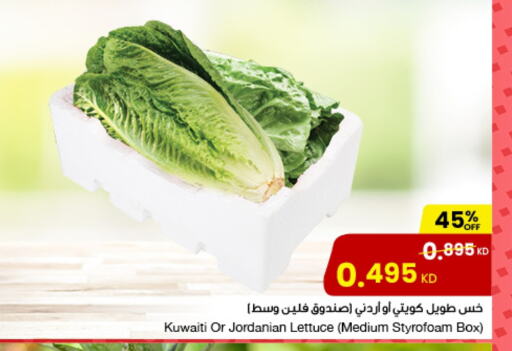 Lettuce from Kuwait Jordan available at مركز سلطان in الكويت - مدينة الكويت