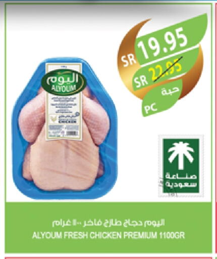 Fresh Whole Chicken available at Farm  in KSA, Saudi Arabia, Saudi - Jazan