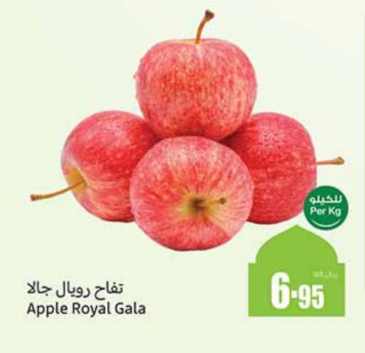 Apples available at Othaim Markets in KSA, Saudi Arabia, Saudi - Dammam