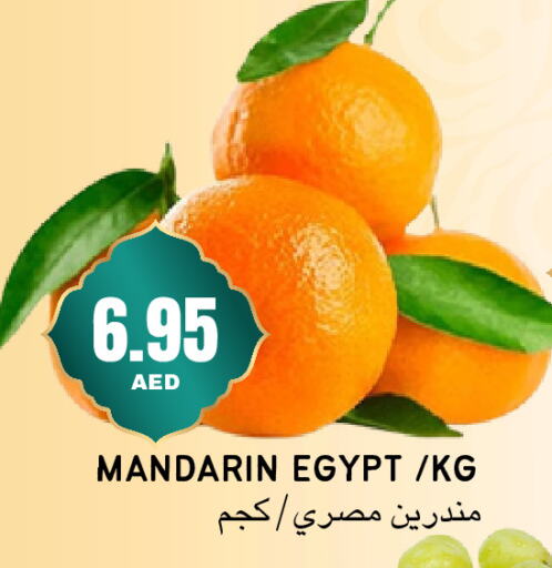 Orange from Egypt available at Select Market in UAE - Abu Dhabi