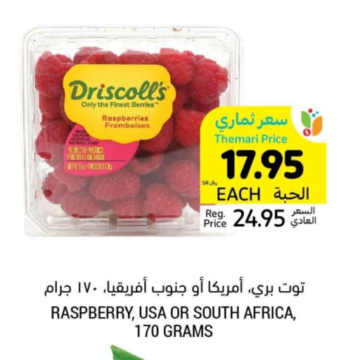 Berries from Mexico South Africa available at Tamimi Market in KSA, Saudi Arabia, Saudi - Hafar Al Batin